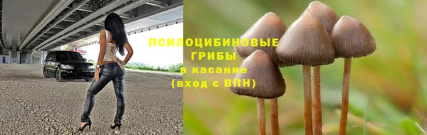 шишки Богородицк